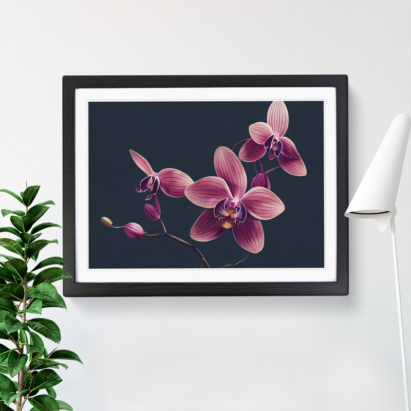 Revolutionary Orchid Flowers 1 Piece Single Picture Frame Wall Art, 34cm H x 46cm W x 2cm D, Black Framed