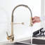 Belfry Kitchen Wall Pull Down Kitchen Faucet-403067248
