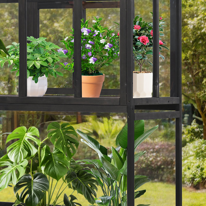Serre en bois avec toit ouvrant et boîte de rangement, Noir, noir, noir, noir