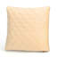 Coussin décoratif