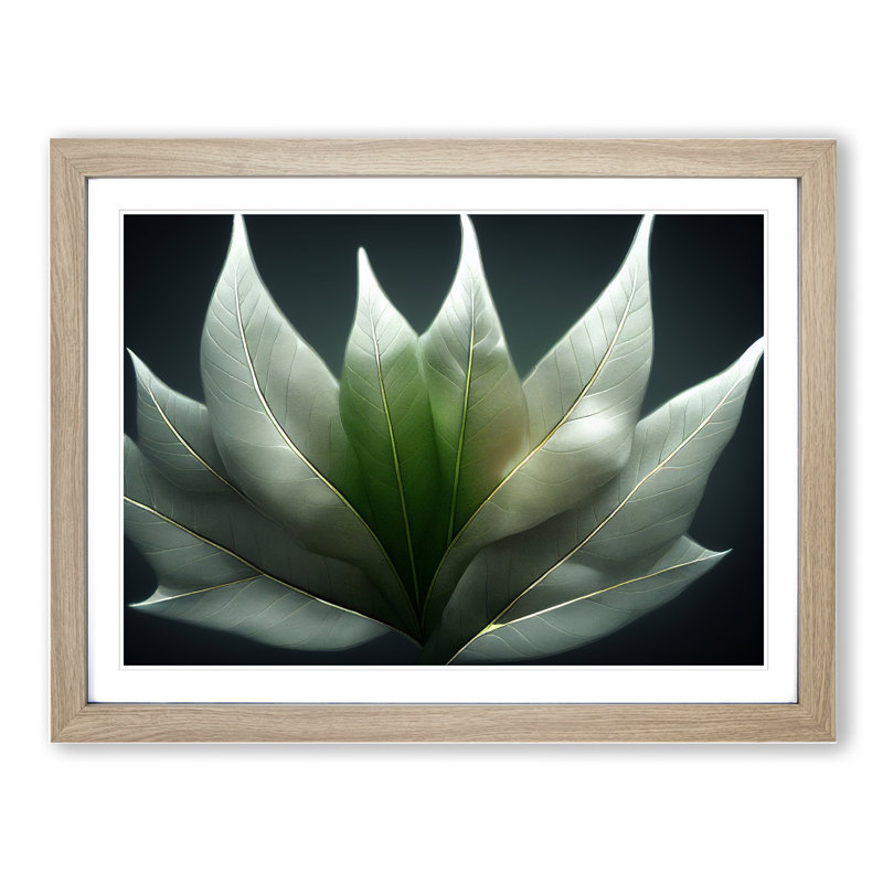 Enlightened Leaf - Single Picture Frame Print, 25cm H x 34cm W x 2cm D, Oak Framed