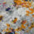 Hannah Abstract Transitional Durable Performance Multicolor Area Rug-68027519