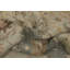 Tapis turc Oushak 8 x 10