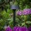 80cm Plug-in Outdoor Floor Lamp
