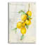 Art mural en verre Zest 2 'par Julia Purinton-878625027