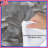 Silver Metal Leaves Comforter-125060093