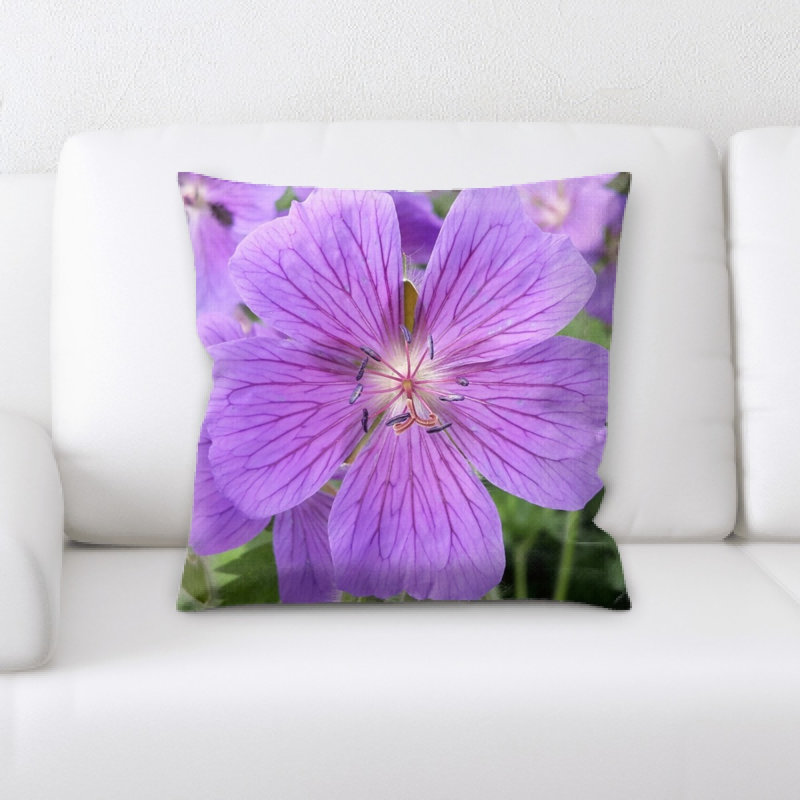 Coussin cranesbill