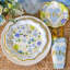Ensemble de vaisselle Baby Shower Party