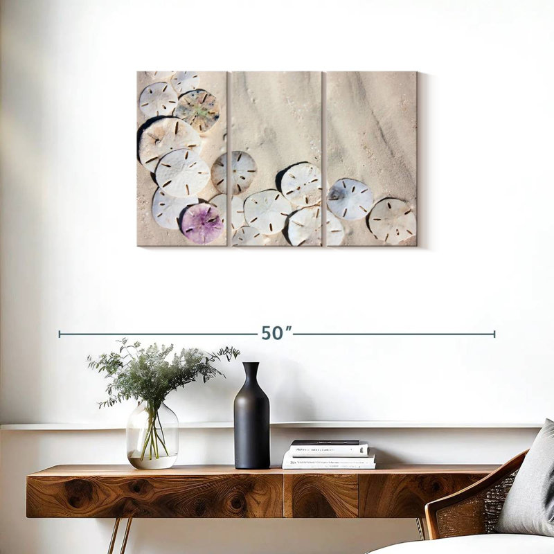 Brampt Beach Sand Dollars, 20" H x 33" W