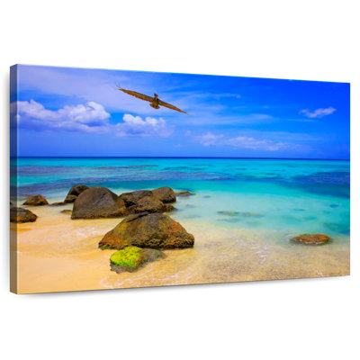 Gillard Montego Bay Pelican Flight