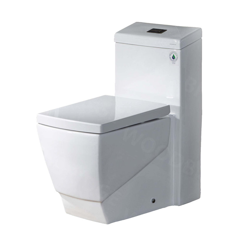 Dual-Flush Elongated One-Piece Toilet, Oil Rubbed Broze