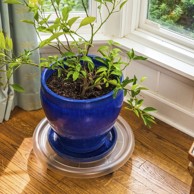 Weather Resistant Caddy Plant Stand