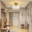 Glass Semi Flush Mount-1134177774