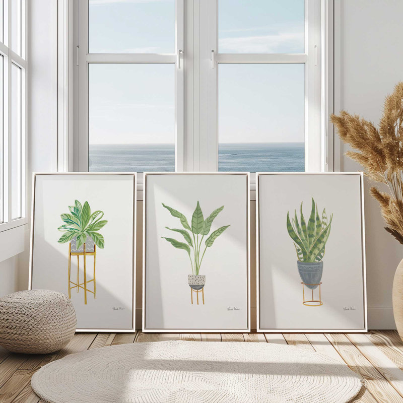 Présentoir à plantes, lot de 3 impressions, 24 po x 18 po, Toile avec cadre, Blanc opaque