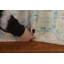 Tapis oriental en laine noué à la main Oushak 2X4