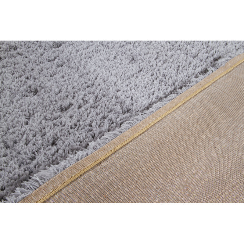 Decoste Hand Woven Area Rug, Rectangle 200 x 300cm