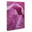 Petals Of A Pink Tulip - Wrapped Canvas-56658129