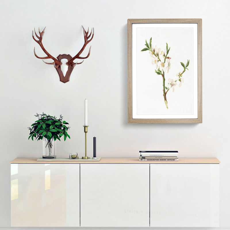 Almond Tree Flower by Giorgio Gallesio - Single Picture Frame Painting, 63cm H x 45cm W x 2cm D, Oak Framed