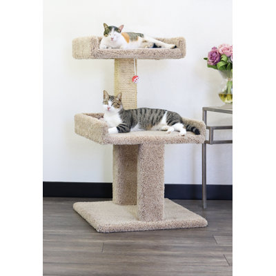 New Cat Condos Solid Wood Cat Perch for Large Cats & Multi-Cat Homes