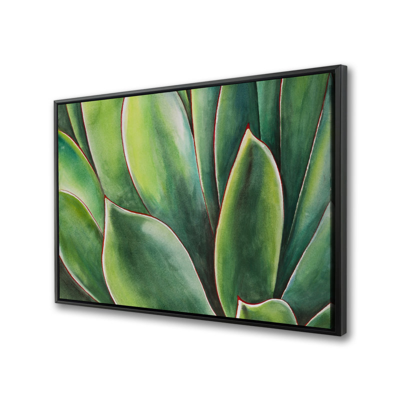 Watercolor Agave Plant - Framed Canvas for Home Decor,  25.25" H x 37.25" W