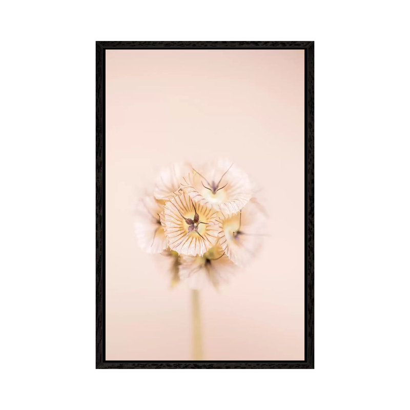 Bleach Blonde II 1 Piece Wall Art on Canvas, 101.6 cm H x 66.04 cm W, Black Framed