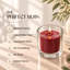 Bougies votives rouge foncé, paquet de 25, durée de combustion de 10 heures, sans parfum-858400193