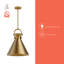 Luminaire suspendu conique simple à 1 lumière Tiney-88045223-88045224-88045229