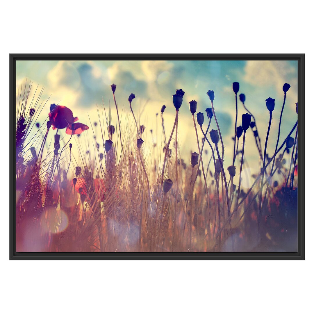 Gerahmtes Poster Poppy Wheat Field