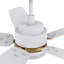  Ventilateur de plafond intelligent 52 po avec télécommande, ensemble d'éclairage, fonctionne avec l'assistant Google et Amazon Alexa, raccourci Siri.