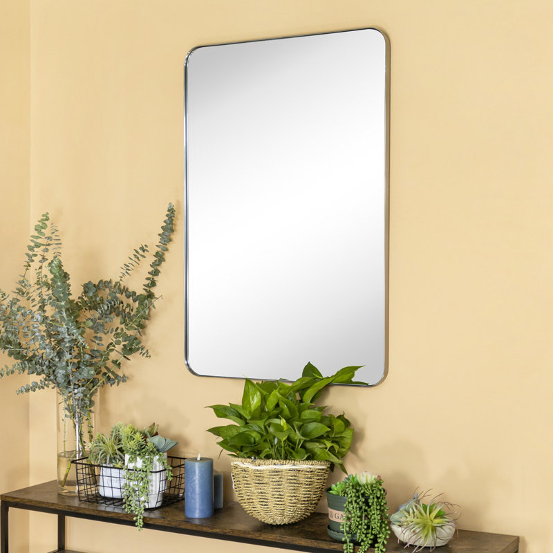 Miroir de salle de bain Javeion, Nickel brossé, 30 po x 20 po