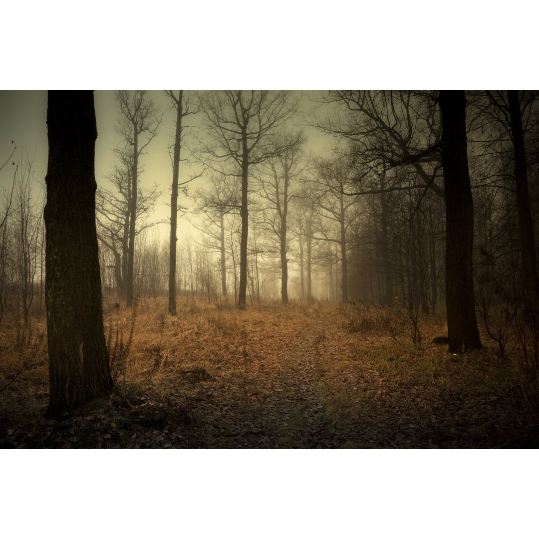 Neblige Landschaft im Herbst von Mordolff - Druck auf Leinwand ohne Rahmen