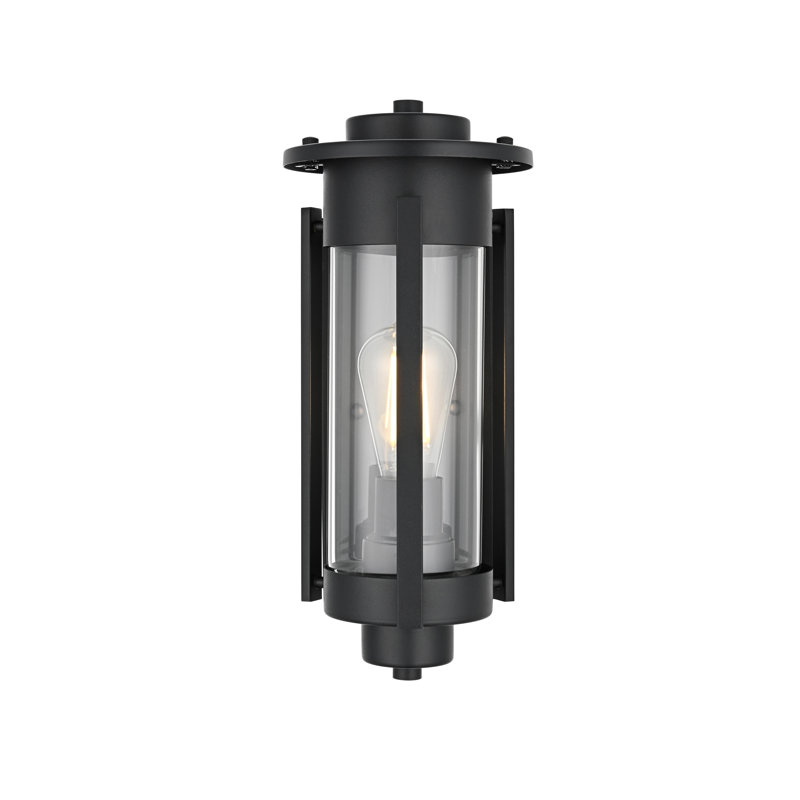 Daniella 6.5 Inch Outdoor Wall Sconce in Black