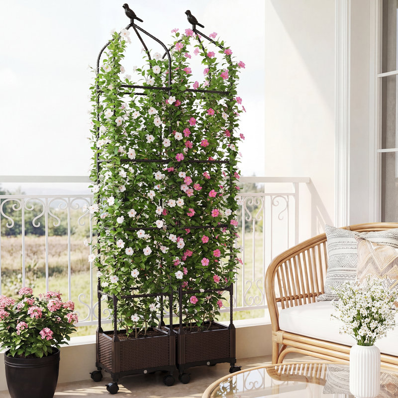 Boîte à fleurs surélevée pour jardin en tomates avec roues Trelli