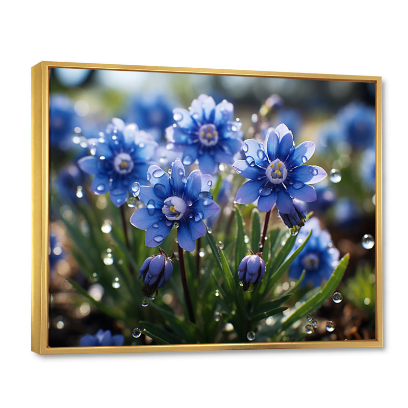 " Blue Bonnets Field Photo VI ", Gold Floater Framed, 12" H x 20" W x 1" D