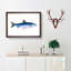 Alpine Charr Fish by Edward Donovan - Single Picture Frame Painting-55545111-55545115