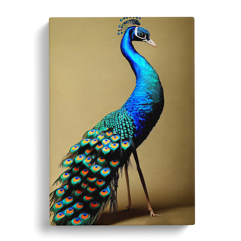 XV1022-4257X Stunning Peacock - Print, No Matte, 50cm H x 35cm W, Wrapped Canvas