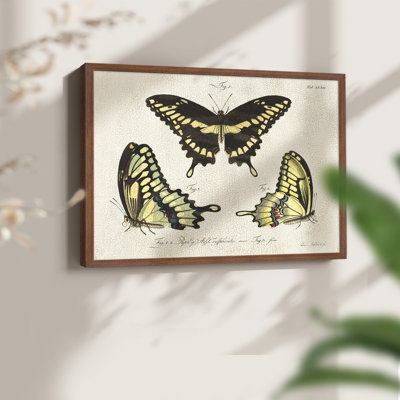 «Crackled Butterflies I», reproduction encadrée