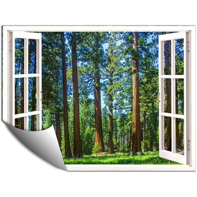 Window White Scenery Peel & Stick Border