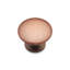 CK Series 1 1/4" Diameter Mushroom Knob-12829642
