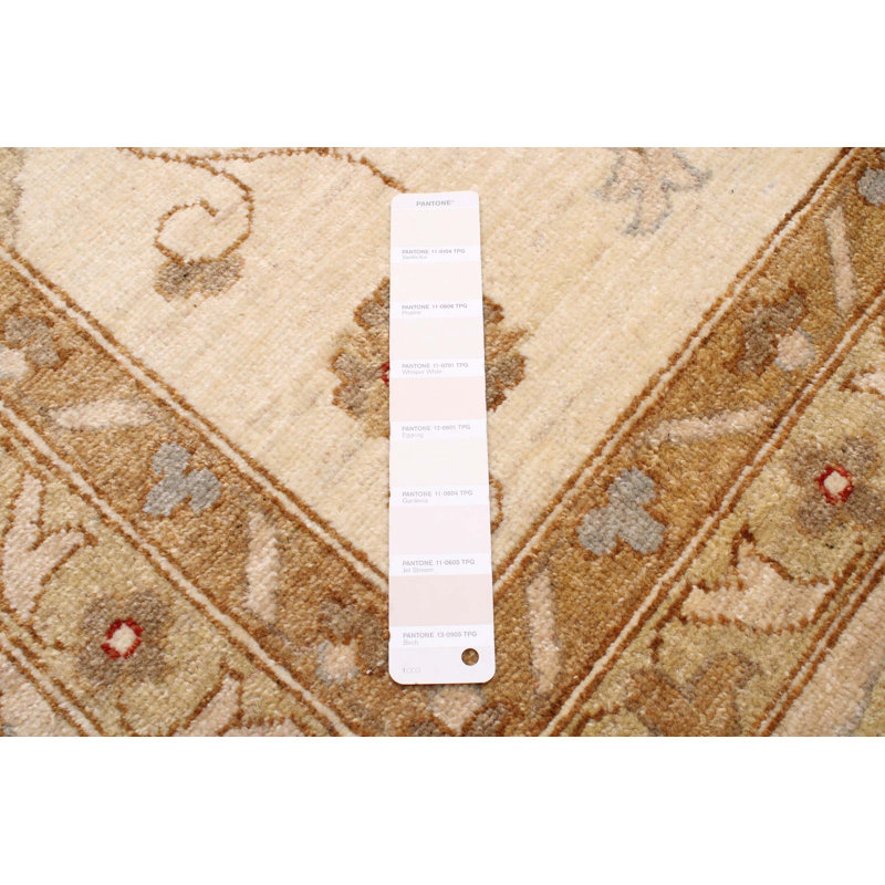 Tapis crème / brun / brun clair noué à la main de conception unique 13 pi 4 po x 16 pi 7 po New Age Cherryl