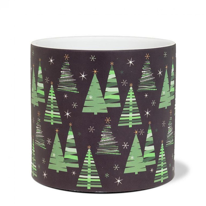 Arbres verts sur un pot de fleurs sur fond sombre, H 6 po x l 6,50 po x P 6,50 po