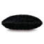 Talena Pillow Cover & Insert-2115038881