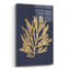  «Pacific Sea Mosses 1 Indigo» par Wild Apple Portfolio, art mural en verre, 16 po x 24 po-1681917504