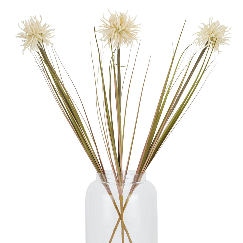 Daisy Arrangement, Cream