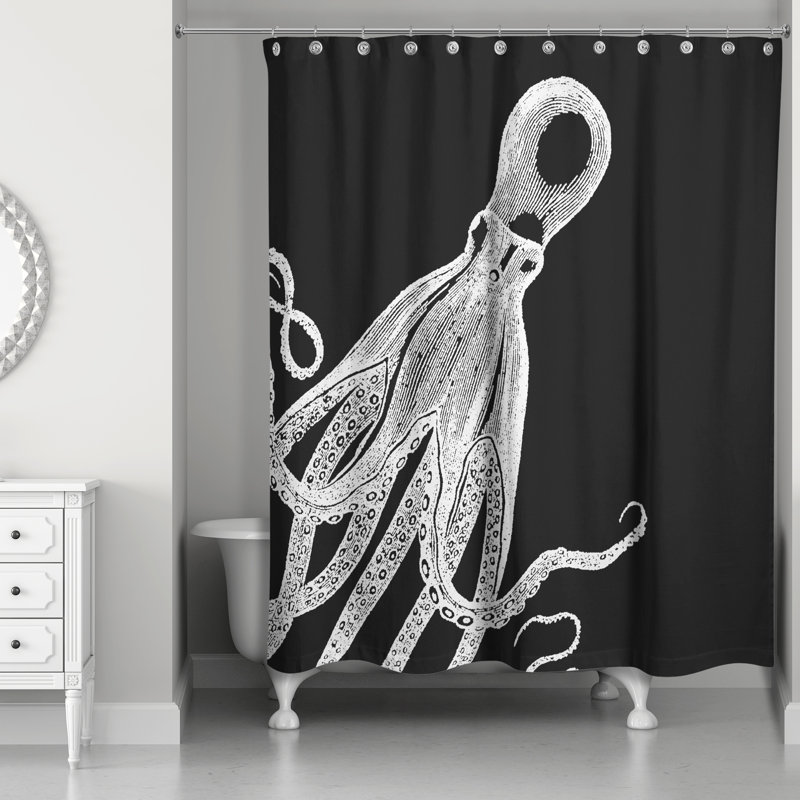 Rideau de douche simple Pacheco, Noir / Blanc