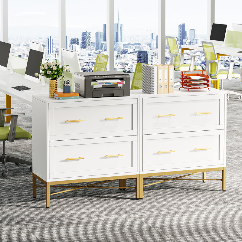 Niera 31.49'' Wide 2 -Drawer File Cabinet, White