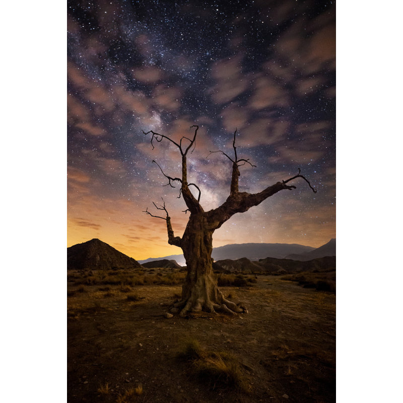 Wrapped Canvas Print, 50.8 cm H x 76.2 cm W