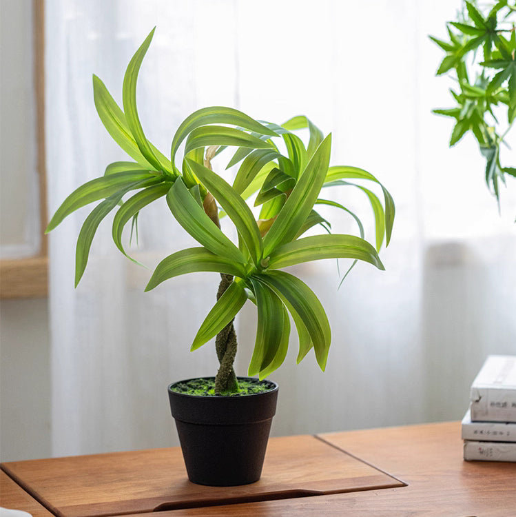 Mini plante verte en pot
