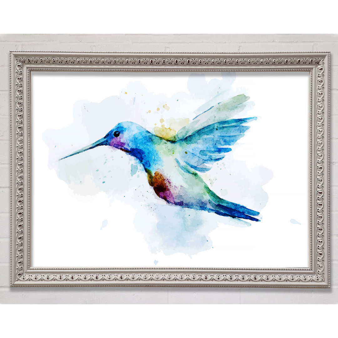 Hummingbird Splash - Druck