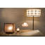 LED Floor Lamp